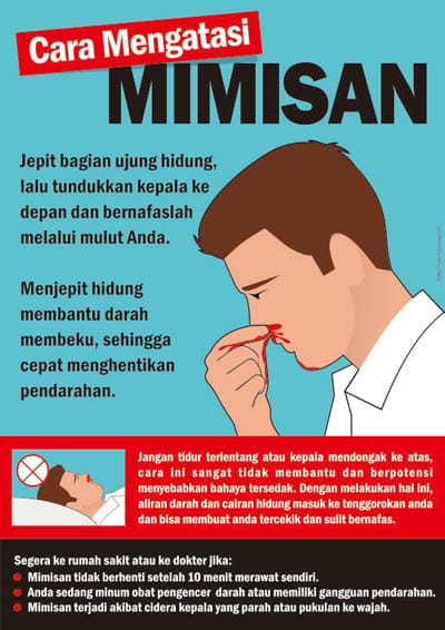 mimisan2.jpg